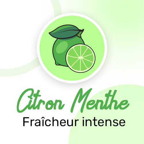 Parfum Citron menthe Freezy